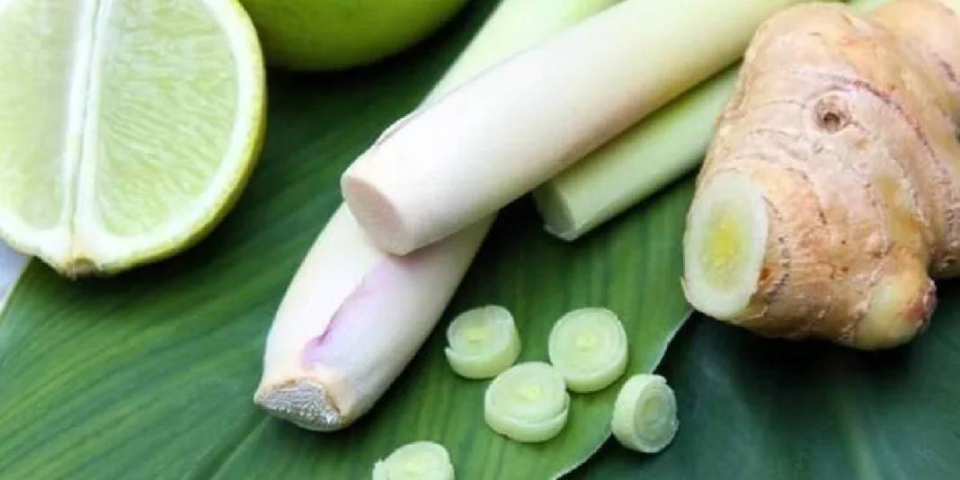 Asırlar önce İbn-i Sina öneriyordu, tüm dünyaya yayıldı! Vücudu resetliyor, kalbi iyileştiriyor: Türkiye’de kıymeti bilinmiyor 9